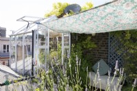 Wendy Shillam's rooftop vegetable garden