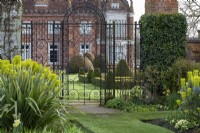 Euphorbia characias subsp. wulfenii and Phormium sp growing either side of the wrought iron gate that leads to parterre at Helmingham Hall.