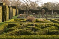 Buxus sempervirens, Box, outlines the The Knot Garden next to rose garden, which are enclosed a Yew hedge at Helmingham Hall.