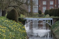 Ducks swimming under the bridge that crosses the moat surrounding the walled garden at Helmingham Hall. The banks are edged with topiary yew cones that interplanted with Narcissus.