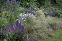 Flowerbeds at Winterbourne Botanic Garden, July