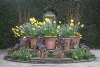 Display of spring bulbs in pots at Birmingham Botanical Gardens - March