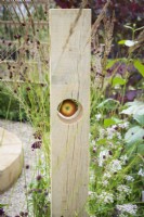 Wooden bird-feeder with apple among Sanguisorba and Calamagrosis grass in  The Wooden Spoon Garden, RHS Hampton Court Palace Garden Festival 2022