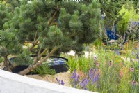 Colourful planting in sunken gravel garden surrounded by circular concrete wall with  Pinus nigra 'Austriaca' - Over The Wall Garden, supported by Takeda, RHS Hampton Court Palace Garden Festival 2022 