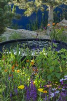 Gravel garden with rocks,  circular pond  and vibrant drought-tolerant  perennials and annuals plants with Calendula officinalis 'Indian Prince', Achillea 'Moonshine' and Salvia nemorosa 'Amethyst'  - Over The Wall Garden, supported by Takeda. RHS Hampton Court Palace Garden Festival 2022 