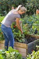 Woman preparing bed with garden fork for planting vegetable seedlings.