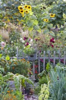 Wicker basket with herbs hanging on wooden fence, flowerbed with dahlias and sunflowers in background.