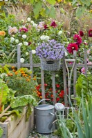 Hanging basket with asters and tools.