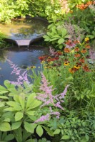 Corten steel water bowls surrounded with colourful plants including Rodgersia, Helenium 'Moerheim Beauty' and Astilbe. The Daily Mail and RHS Planet-Friendly Garden, RHS Hampton Court Palace Garden Festival 2022