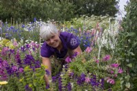 Fiona Porter picking cut flowers at Cotswold Country Flowers.