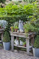 Outdoor arrangement on wooden table with potted plants, tools and dove sculptures.