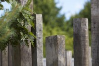 Detail of wooden posts used as garden dividers. July. Summer.