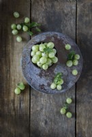 Freshly harvested gooseberries in container and loose
