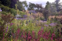 Mixed perennial plantings in summer at Marwood Hill Gardens, Devon, UK