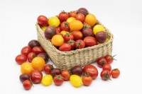 Solanum lycopersicum mix in basket