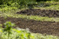 Preparation of the vegetable patch, summer June