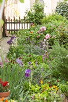 View into a perennial garden, summer June