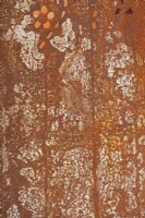 Close-up detail of rusty Corten steel divider/feature. Summer.