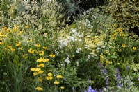 Colour themed border in a small country garden in July