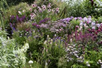 Colour themed border in a small country garden in July