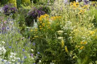Colour themed borders in a small country garden in July