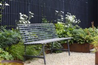 Black metal bench placed between raised corten steel beds with Polystichum polyblepharum, Mahonia 'Soft Caress', Hakonechloa macra and Anemone 'Honorine Jobert' by wooden fence.