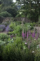 Herbaceous planting in raised beds with a mixture of flowers and vegetables. Cottage garden favourites including Digitalis purpurea - Foxglove,   Allium 'Purple Sensation',Allium christophii,
  Hazel wigwam with Sweet Peas, Catmint and woven hurdle fence.
