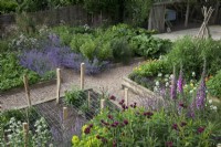 Herbaceous cottage garden  planting in raised beds with a mixture of flowers and vegetables. Cirsium rivulare,  Digitalis purpurea - Foxglove, Valeriana officinalis - Valerian,  Nepeta 'Six Hills Giant' - Catmint, Strawberries, Rhubarb, Courgettes, CAlendula - Marigolds, Viola tricolour - Heartsease,   Sweet Peas on Hazel wigwam, chicken coop  and woven hurdle fence.
