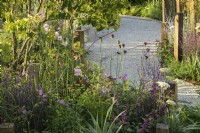 Winding gravel path with wooden edging through perennial mixed planting in A Journey, in Collaboration with Sue Ryder garden at RHS Hampton Court Palace Garden Festival 2022 - Designed by Katherine Holland