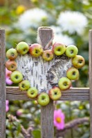 Heart shaped wreath made of birch bark and apples hanging on fence.