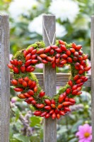 Heart shaped wreath made of moss and rose hips hanging from a fence.