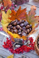 Vase filled with chestnut and decorated with autumn foliage and guelder rose berries.