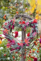Autumn wreath made of rose hips, Liquidambar, lavender and guelder rose berries.