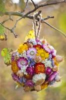 Floral sphere containing straw flower, statice and love in a mist hanging from the tree.
