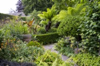Tree ferns, palms and a herbaceous border at York Gate.
