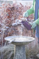 Woman pouring hot water on a frozen bird bath