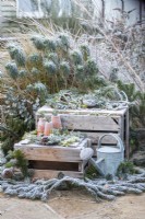 Winter display with Pine branches, pinecones, terracotta pots, snowdrops, watering can amd tools
