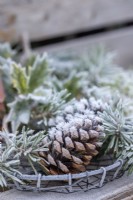 Frosted pinecones
