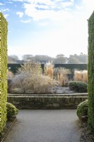 Winter garden with foliage and grasses, strong design of walls built in stone and water rills between.