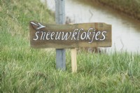Wooden sign near the road and ditch pointing to the snowdrops in dutch.