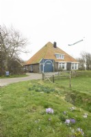 View of the house of Nieteke Roeper: Spang with crocus in the roadside in the foreground.