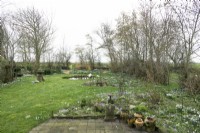 Overview of spring garden with lawn, round pond and borders filled with crocus and snowdrops.