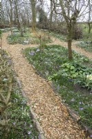 Paths between the borders filled with crocus and large variety of snowdrops.