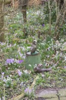 Figurine of owl on iron old green bucket between border with various Galanthus and crocus.