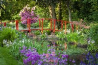 Red bridge over the river with candelabra primulas, irises, persicaria and ferns