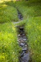 Stream running through a wild meadow area with buttercups and long grass at The Garden House