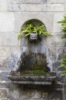Small head in niche of wall with water spout dropping into small pool with Asplenium scolopendrium on head