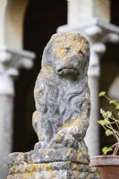 Sad faced stone sculpture of lion on wall of Cloisters. 