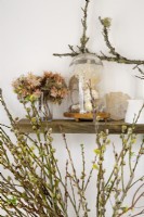 Cut stems of pussy willows plus shelf of dried flowers and ornaments