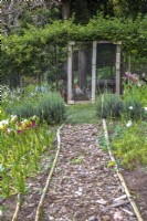 Spring bulbs and lavender planted along pathway leading to chicken coop